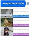 Publicación en la página web